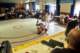 dsc03563_small.jpg