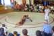 dsc03611_small.jpg