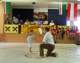 photo13_small.jpg