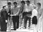 vi2819752_small.jpg